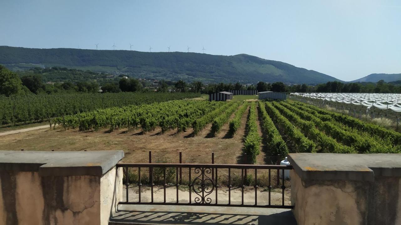 Agriturismo Il Casale Del Cavaliere SantʼAgata deʼ Goti Eksteriør billede