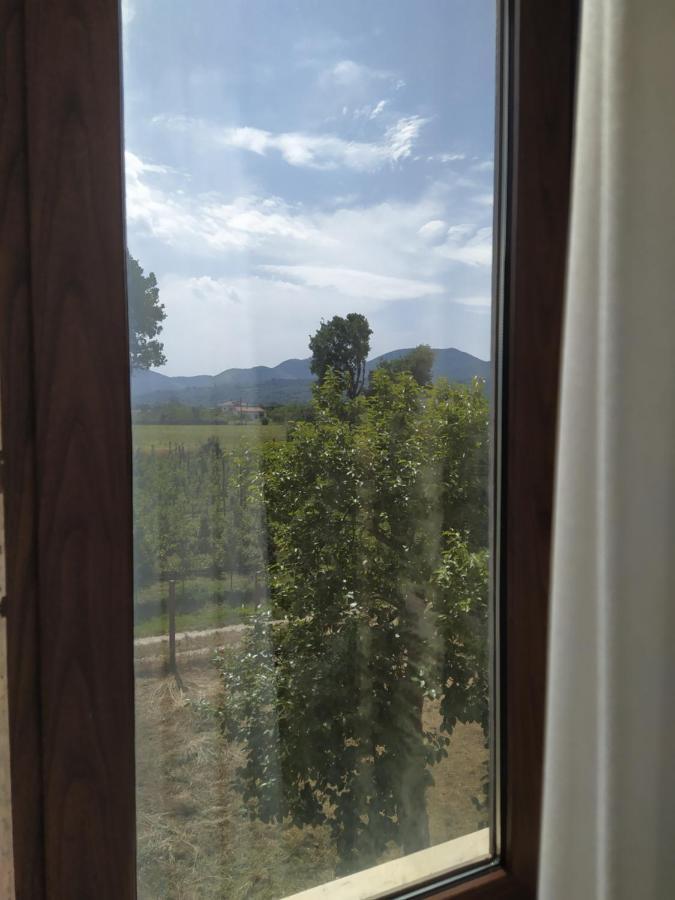 Agriturismo Il Casale Del Cavaliere SantʼAgata deʼ Goti Eksteriør billede